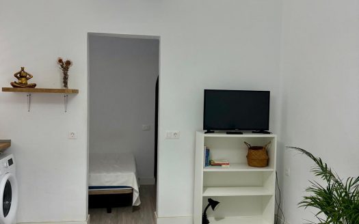 Estudio en Güímar, Tenerife.