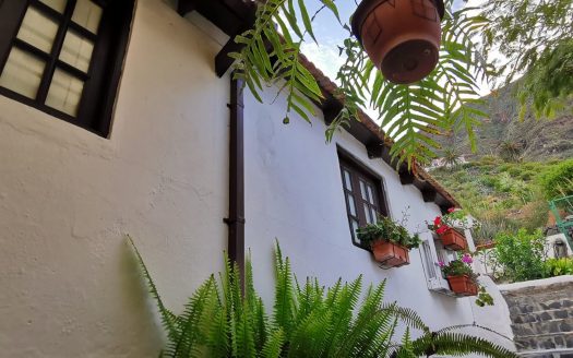 Estudio La Vecindad, Hermigua, La Gomera.